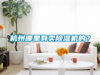 行业资讯杭州哪里有卖除湿机的？