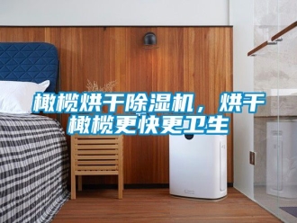 行业资讯橄榄烘干除湿机，烘干橄榄更快更卫生