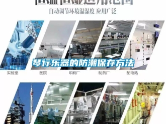 行业资讯琴行乐器的防潮保存方法