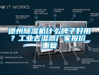 企业动态德州除湿机什么牌子好用？工业去湿器厂家报价_重复