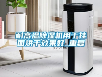 行业资讯耐高温除湿机用于挂面烘干效果好_重复