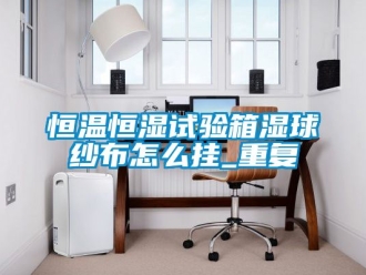 知识百科恒温恒湿试验箱湿球纱布怎么挂_重复