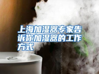 行业资讯上海加湿器专家告诉你加湿器的工作方式
