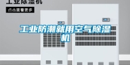 工业防潮就用空气除湿机