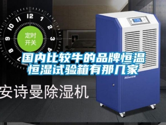 知识百科国内比较牛的品牌恒温恒湿试验箱有那几家