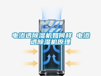 行业资讯电渗透除湿机如何样 电渗透除湿机原理
