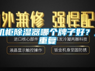 行业资讯机柜除湿器哪个牌子好？_重复