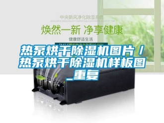 行业资讯热泵烘干除湿机图片／热泵烘干除湿机样板图_重复
