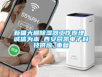 行业资讯新疆大棚除湿器工作原理 诚信为本 西安同凯电子科技供应_重复