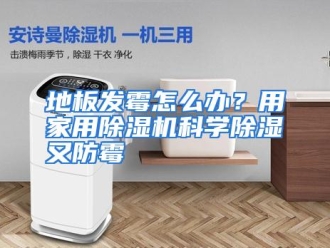 常见问题地板发霉怎么办？用家用除湿机科学除湿又防霉