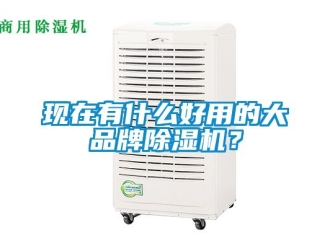 企业动态现在有什么好用的大品牌除湿机？