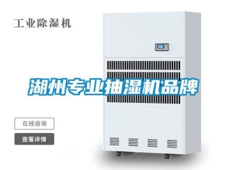 企业动态湖州专业抽湿机品牌