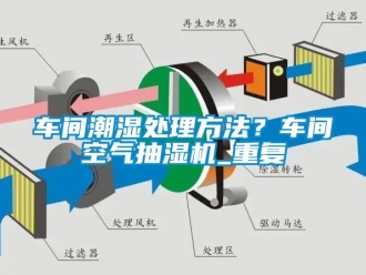企业动态车间潮湿处理方法？车间空气抽湿机_重复