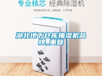 企业动态湖北地下仓库抽湿机品牌_重复