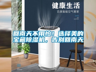 行业资讯回南天不用怕！选择美的宝藏除湿机，告别回南天