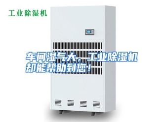 知识百科车间湿气大，工业除湿机却能帮助到您！
