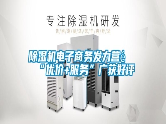 知识百科除湿机电子商务发力营销“优价+服务”广获好评