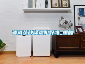 行业资讯普洱茶放除湿机好吗_重复