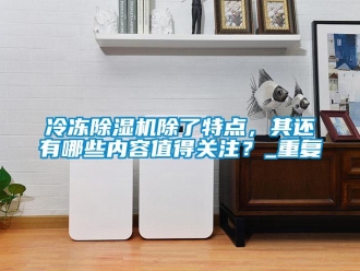 行业资讯冷冻除湿机除了特点，其还有哪些内容值得关注？_重复