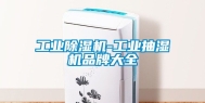 工业除湿机-工业抽湿机品牌大全