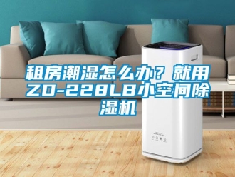 行业资讯租房潮湿怎么办？就用ZD-228LB小空间除湿机