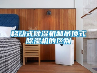行业资讯移动式除湿机和吊顶式除湿机的区别