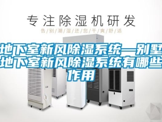 行业资讯地下室新风除湿系统—别墅地下室新风除湿系统有哪些作用