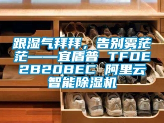 行业资讯跟湿气拜拜，告别雾茫茫——宜盾普 TFDE2B20BEC 阿里云智能除湿机