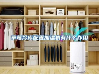 常见问题草莓冷库配置加湿机有什么作用