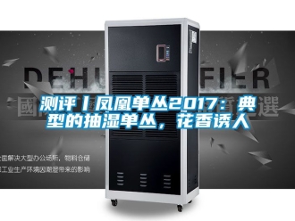 企业动态测评丨凤凰单丛2017：典型的抽湿单丛，花香诱人
