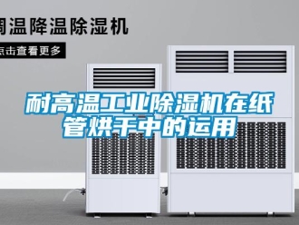 行业资讯耐高温工业除湿机在纸管烘干中的运用