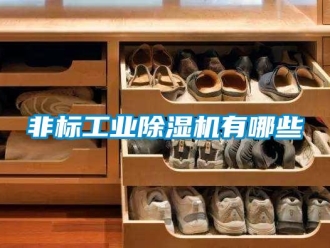 常见问题非标工业除湿机有哪些