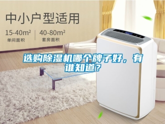 行业资讯选购除湿机哪个牌子好，有谁知道？