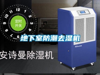 行业资讯地下室防潮去湿机