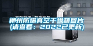 柳州防爆真空干燥箱图片(请查看：2022已更新)