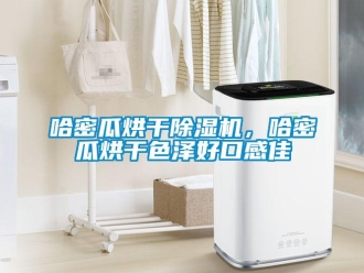 行业资讯哈密瓜烘干除湿机，哈密瓜烘干色泽好口感佳