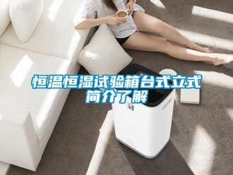 知识百科恒温恒湿试验箱台式立式简介了解