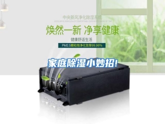 行业资讯家庭除湿小妙招!