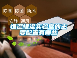 知识百科恒温恒湿实验室的主要配置有哪些