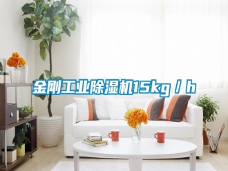 行业资讯金刚工业除湿机15kg／h