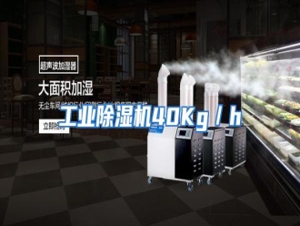 知识百科工业除湿机40Kg／h