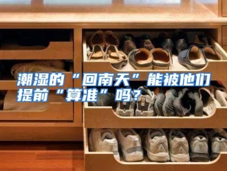 常见问题潮湿的“回南天”能被他们提前“算准”吗？
