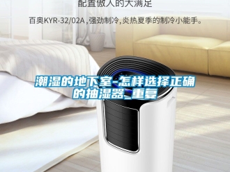 企业动态潮湿的地下室-怎样选择正确的抽湿器_重复