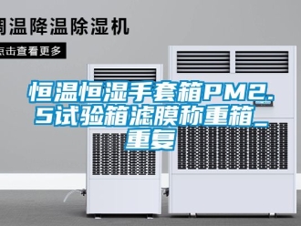 知识百科恒温恒湿手套箱PM2.5试验箱滤膜称重箱_重复