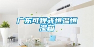 广东可程式恒温恒湿箱