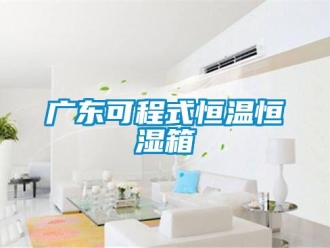 知识百科广东可程式恒温恒湿箱