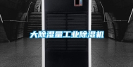 大除湿量工业除湿机