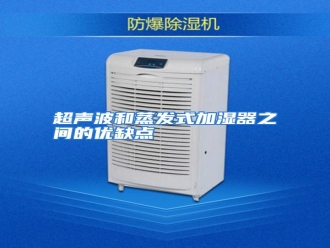 知识百科超声波和蒸发式加湿器之间的优缺点