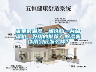 行业资讯家里很潮湿，想选购一台除湿机，好用的推荐？除湿机作用到底怎么样？