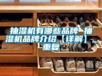 企业动态抽湿机有哪些品牌 抽湿机品牌介绍【详解】_重复